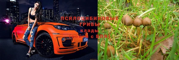 МДПВ Абаза